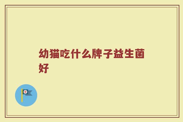幼猫吃什么牌子益生菌好 幼猫吃什么牌子益生菌好