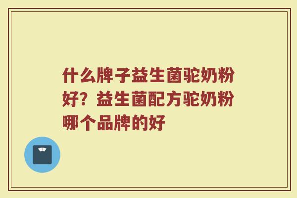 什么牌子益生菌驼奶粉好？益生菌配方驼奶粉哪个品牌的好