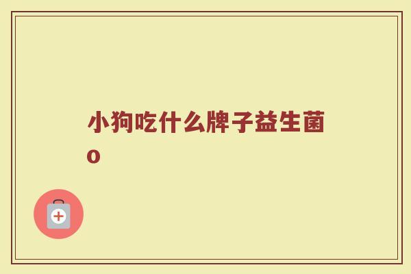 小狗吃什么牌子益生菌o
