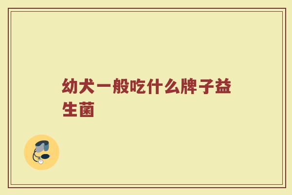 幼犬一般吃什么牌子益生菌