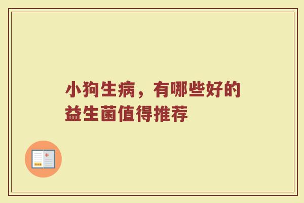 小狗生病，有哪些好的益生菌值得推荐