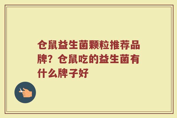 仓鼠益生菌颗粒推荐品牌?仓鼠吃的益生菌有什么牌子好