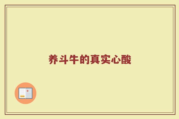 养斗牛的真实心酸