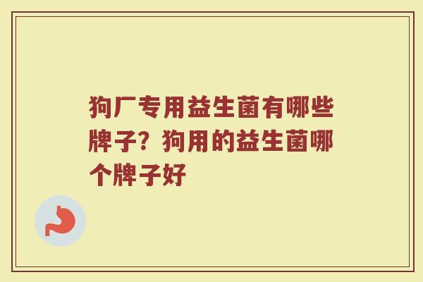 狗厂专用益生菌有哪些牌子？狗用的益生菌哪个牌子好