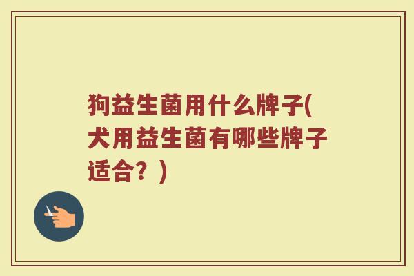 狗益生菌用什么牌子(犬用益生菌有哪些牌子适合？)