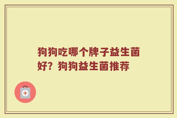 狗狗吃哪个牌子益生菌好？狗狗益生菌推荐