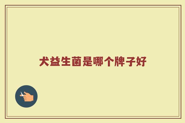 犬益生菌是哪个牌子好