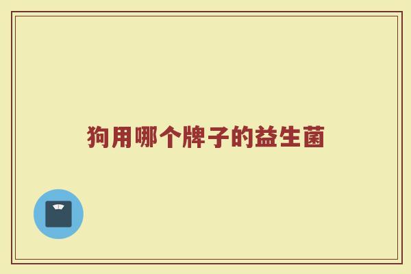 狗用哪个牌子的益生菌