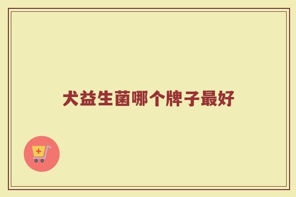 犬益生菌哪个牌子最好
