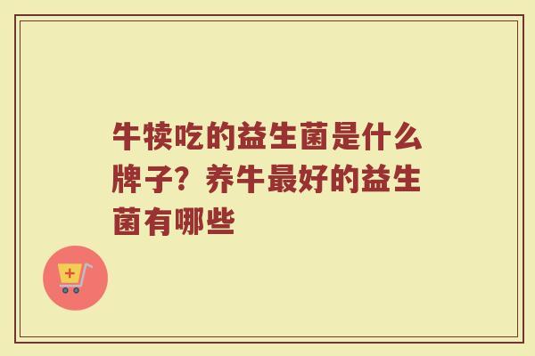 牛犊吃的益生菌是什么牌子？养牛最好的益生菌有哪些