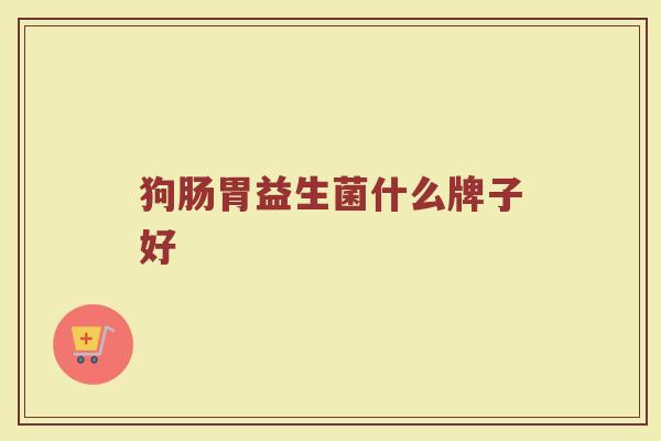 狗肠胃益生菌什么牌子好