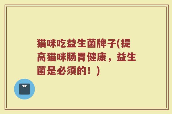 猫咪吃益生菌牌子(提高猫咪肠胃健康，益生菌是必须的！)