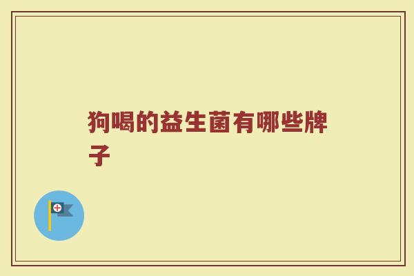 狗喝的益生菌有哪些牌子
