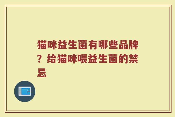 猫咪益生菌有哪些品牌？给猫咪喂益生菌的禁忌