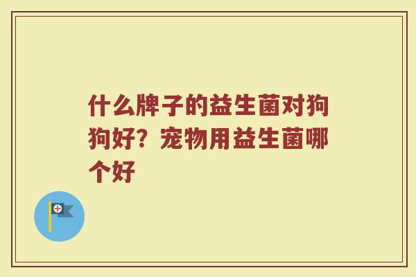 什么牌子的益生菌对狗狗好？宠物用益生菌哪个好