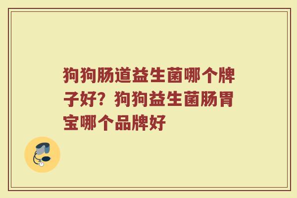 狗狗肠道益生菌哪个牌子好？狗狗益生菌肠胃宝哪个品牌好