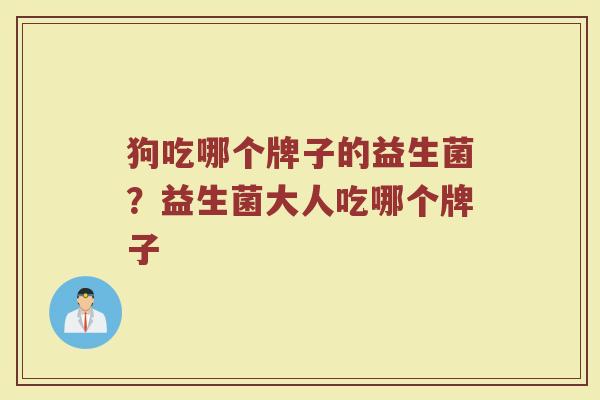 狗吃哪个牌子的益生菌？益生菌大人吃哪个牌子