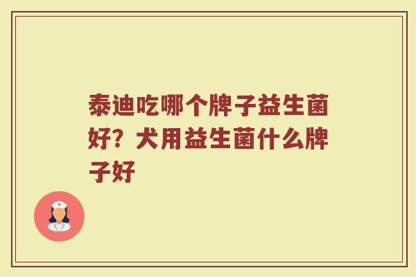 泰迪吃哪个牌子益生菌好？犬用益生菌什么牌子好