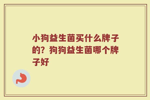 小狗益生菌买什么牌子的？狗狗益生菌哪个牌子好