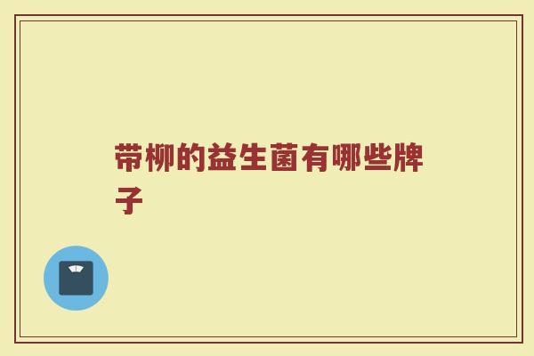 带柳的益生菌有哪些牌子