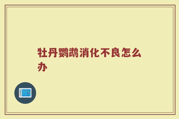 牡丹鹦鹉消化不良怎么办