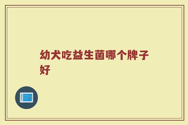 幼犬吃益生菌哪个牌子好