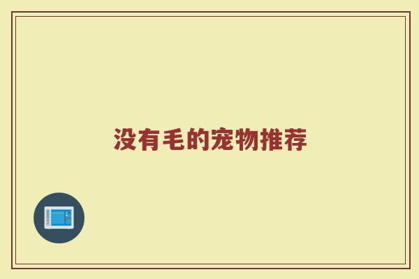 没有毛的宠物推荐