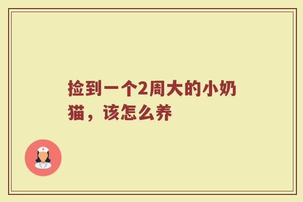捡到一个2周大的小奶猫，该怎么养