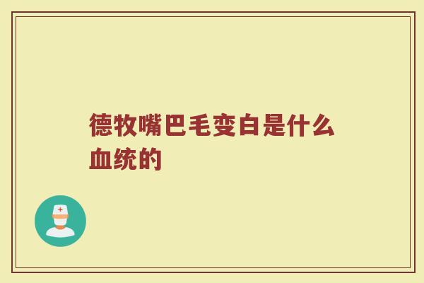 德牧嘴巴毛变白是什么血统的
