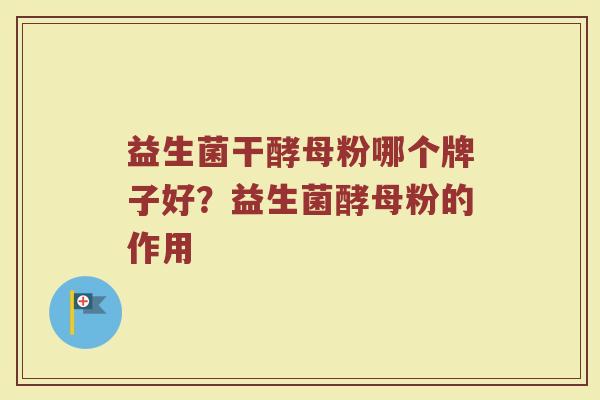益生菌干酵母粉哪个牌子好？益生菌酵母粉的作用