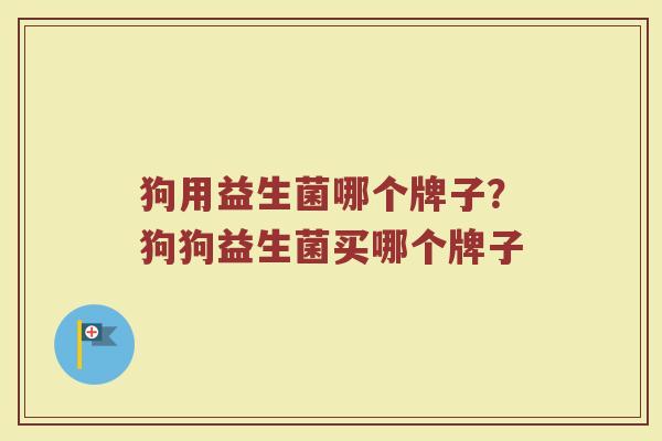 狗用益生菌哪个牌子？狗狗益生菌买哪个牌子