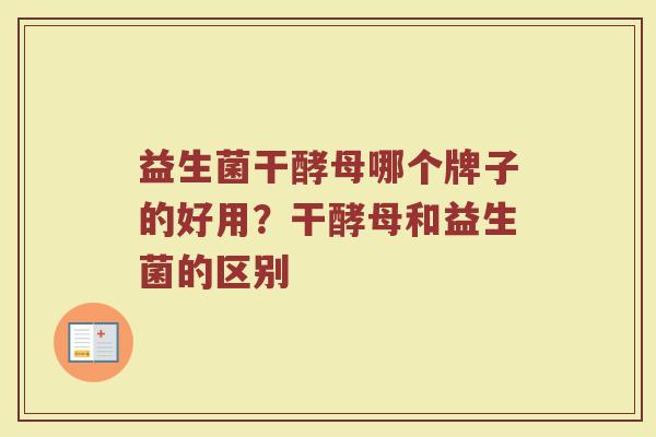 益生菌干酵母哪个牌子的好用？干酵母和益生菌的区别