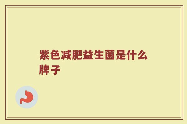 紫色减肥益生菌是什么牌子