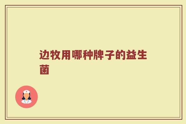 边牧用哪种牌子的益生菌