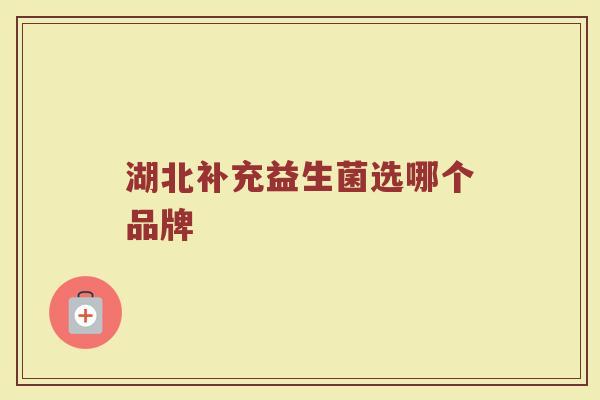 湖北补充益生菌选哪个品牌