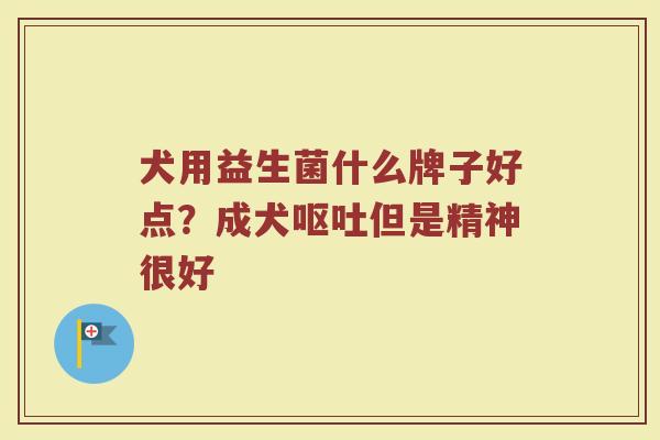 犬用益生菌什么牌子好点？成犬呕吐但是精神很好