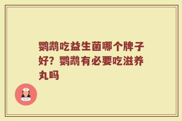 鹦鹉吃益生菌哪个牌子好？鹦鹉有必要吃滋养丸吗