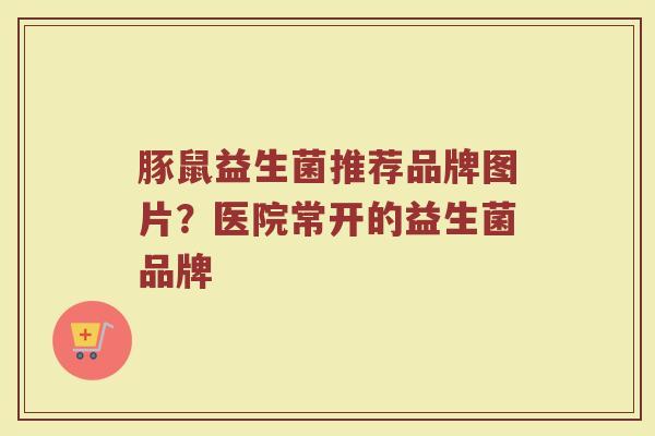 豚鼠益生菌推荐品牌图片？医院常开的益生菌品牌