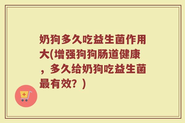 奶狗多久吃益生菌作用大(增强狗狗肠道健康，多久给奶狗吃益生菌最有效？)