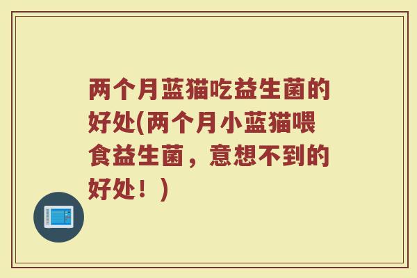 两个月蓝猫吃益生菌的好处(两个月小蓝猫喂食益生菌，意想不到的好处！)
