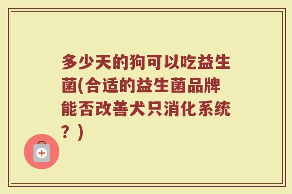 多少天的狗可以吃益生菌(合适的益生菌品牌能否改善犬只消化系统？)