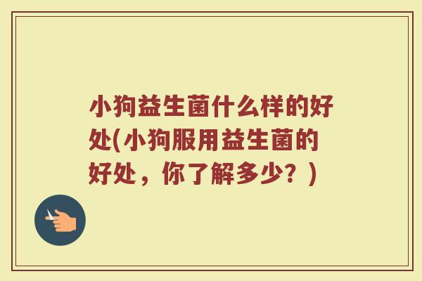 小狗益生菌什么样的好处(小狗服用益生菌的好处，你了解多少？)