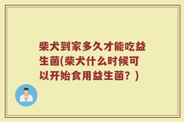 柴犬到家多久才能吃益生菌(柴犬什么时候可以开始食用益生菌？)