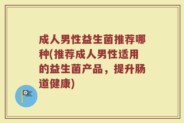 成人男性益生菌推荐哪种(推荐成人男性适用的益生菌产品，提升肠道健康)