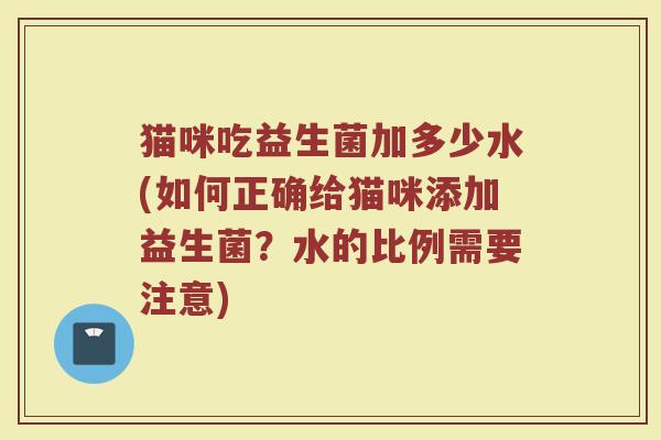 猫咪吃益生菌加多少水(如何正确给猫咪添加益生菌？水的比例需要注意)