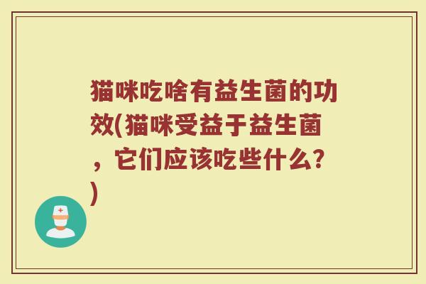 猫咪吃啥有益生菌的功效(猫咪受益于益生菌，它们应该吃些什么？)