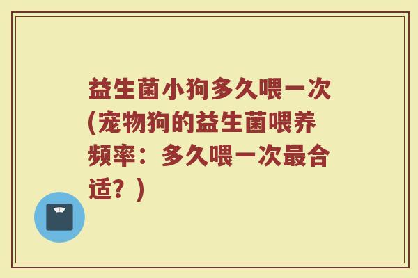 益生菌小狗多久喂一次(宠物狗的益生菌喂养频率：多久喂一次最合适？)