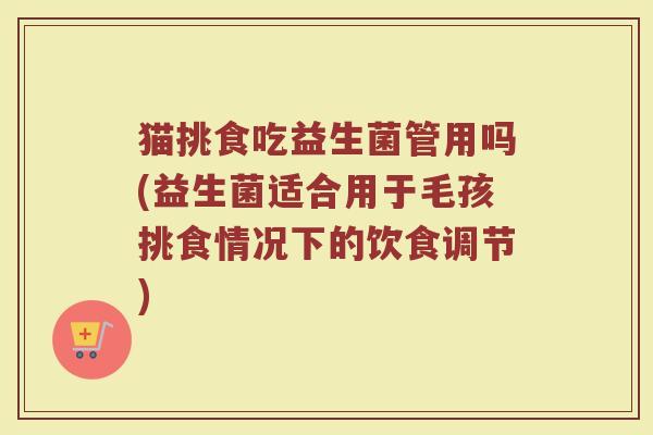 猫挑食吃益生菌管用吗(益生菌适合用于毛孩挑食情况下的饮食调节)