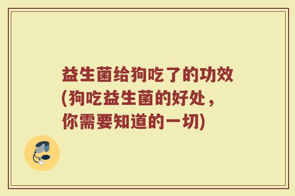 益生菌给狗吃了的功效(狗吃益生菌的好处，你需要知道的一切)