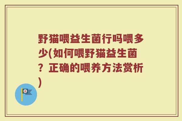 野猫喂益生菌行吗喂多少(如何喂野猫益生菌？正确的喂养方法赏析)